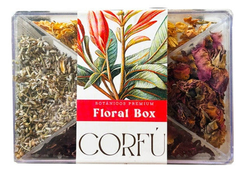 Corfu Dried Citrus Botanical Cocktail Kit 6