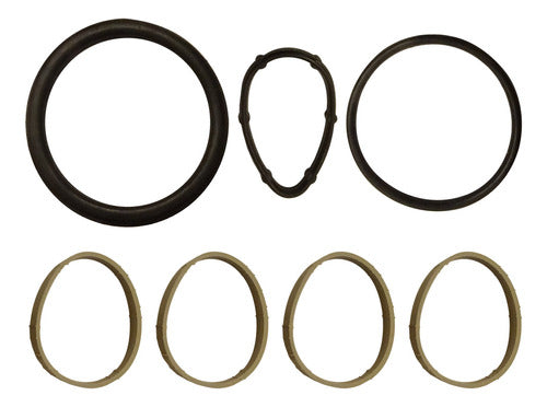 AEQUIPE Clio2 Duster Kangoo Megane2 Oro Intake Gasket Kit 0