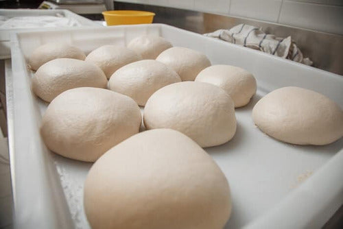 Caja Plastica Con Tapa Fermentado Leudado De Masas Mediana 7