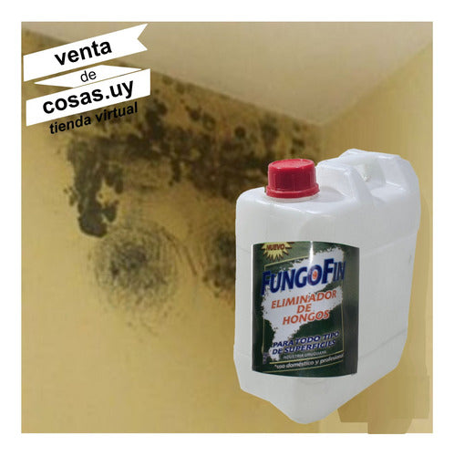 Fungofin Fungicide Eliminates Mold on Walls and Ceilings 5 Liters 1