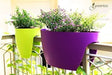 GreenBo Oval Balcony and Railing Planters 6