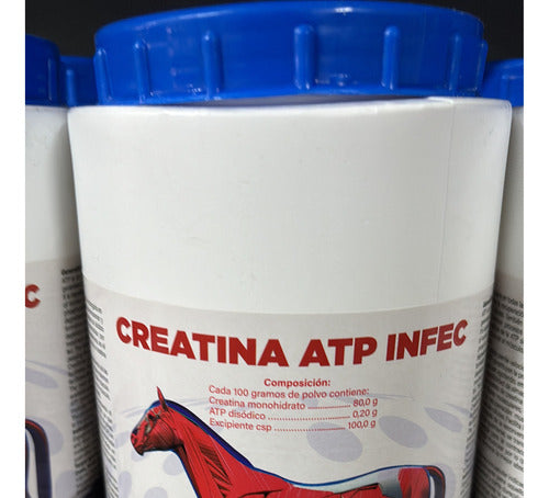 Creatina + Atp Infec 500g Equinos Caballos 1