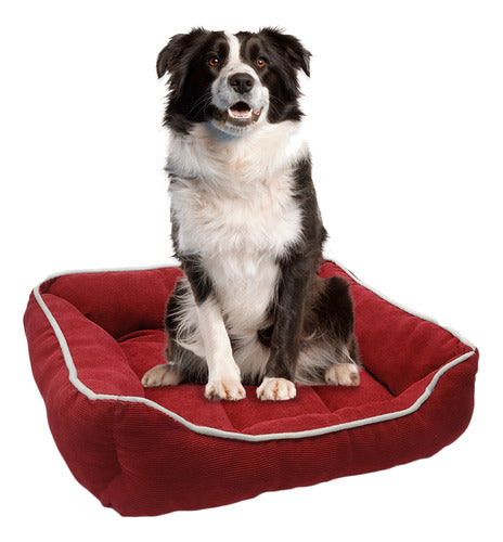 Pawfy Large Pet Moses Bed 6