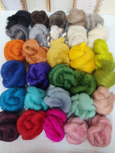 Pack of 30 Assorted Colors Pure Wool Felting Yarn Balls 1