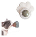Interactive Cat Toy with Rotating Catnip for Wall 27
