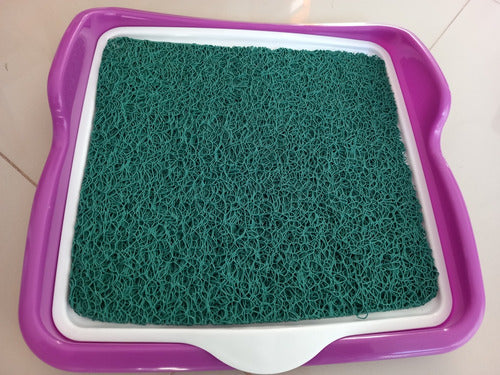 Nina Pet Store Sanitary Tray for Dogs, Puppies, and Small Pets 4