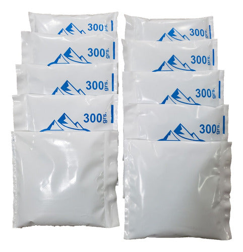 Gel Refrigerante Sachet Frio 300gr X 10 Unidades Oferta!! 0