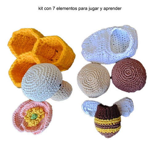 Kit Didáctico Sobre El Ciclo De Vida De La Abeja 1