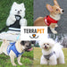 Padded Harness with Leash for Small Dogs and Cats - Various Sizes 6