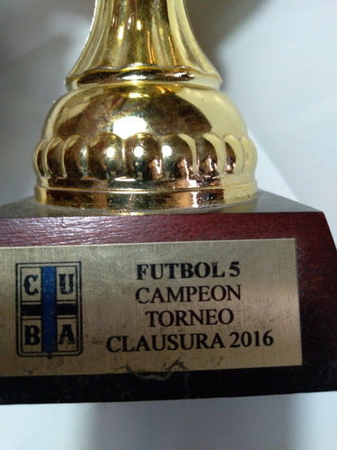 Copa Trofeo Con Base Madera-(c.u.b.a.)-futbol 5-campeon-2016 4