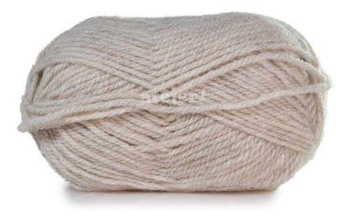 MIA Pampa Merino Semi-Thick Yarn Skein 100 Grams 34