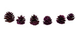 Organatic Set 6 Pineapple Enanas Naturales Curadas Decoradas Navidad Gabym 1