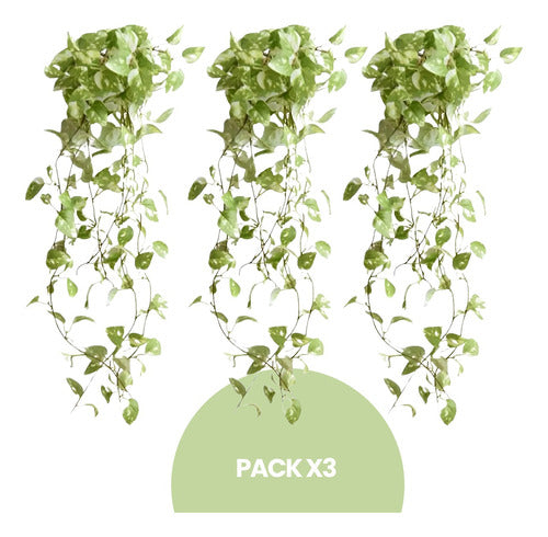 Only Woman Planta Colgante Jardin Vertical Artificial Potus Pothos 78cm 1