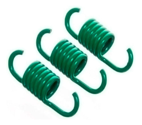 Kit X3 Clutch Springs Malossi for Agility 50cc. Green. Mca 0