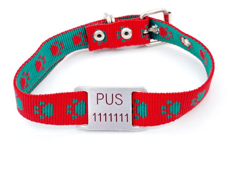 MEDALLAS PARA PERROS Chapita Perros Pasador Chico + Collar Huella Rojo Verde 2cm 0