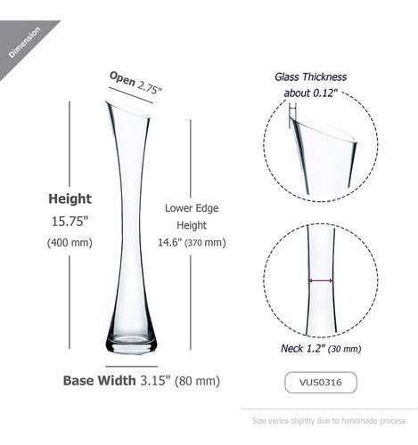 WGV International Jarrón De Vidrio Con Inclinación Inclinada 16 Por 145 Pulgad 1