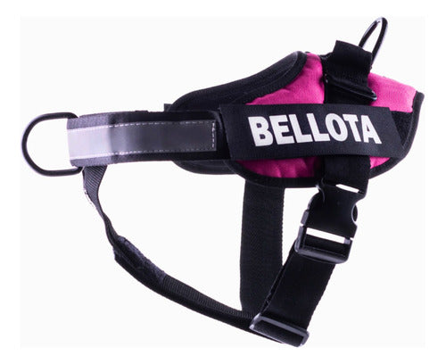 Bark Large Anti-Pull Dog Harness 1