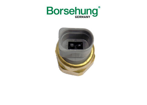 Hydraulic Pressure Bulb Bora Golf Audi A3 Original German 4