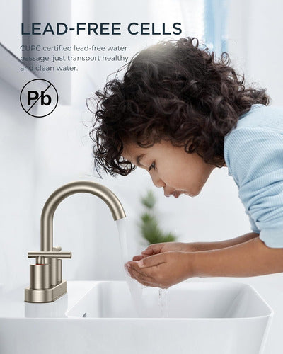 Forious Bimando Faucet with Drain and Colillas in Brushed Nickel 2