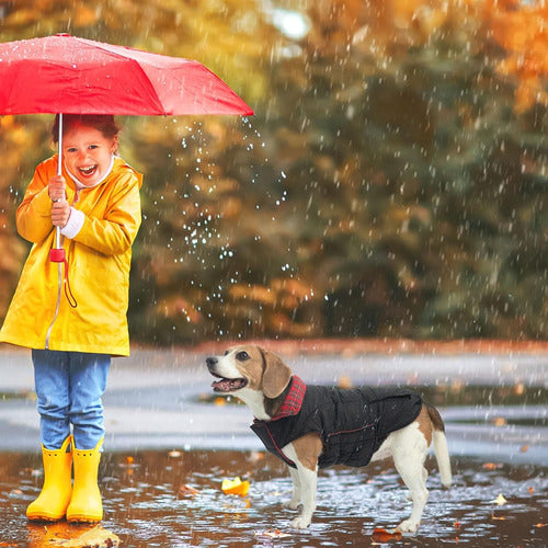 Casaco De Inverno Reversível Para Cães, Jaqueta Impermeável 6