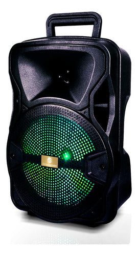 Serie Dorada Sistema De Audio Multimedia 1000W Karaoke SD-804 2