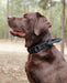 Montana Importaciones Tactical Dog Collar, Black, Size L 2