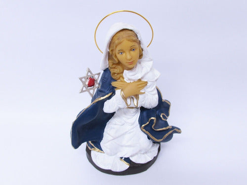 Religious Image Virgin of Cerro de Salta - PVC - 20 cm 1