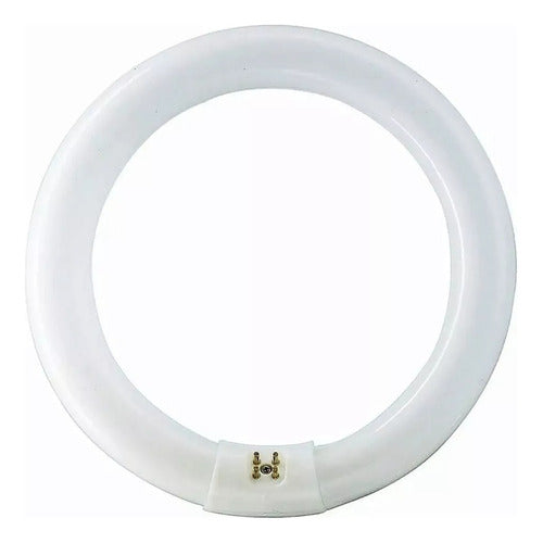 France Circular Fluorescent Tube 22W Cold Light 1