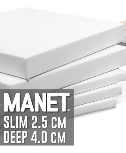 Manet Slim 70x100 Acrylic Oil Canvas Stretcher Frame 6