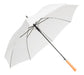 Generic Automatic Opening Umbrella (Consult with Logo for Wholesale) 0