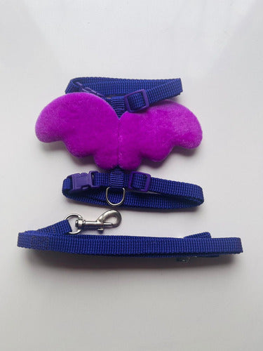 CAT HARNESS Pretal Para Gato Con Alitas + Correa 5