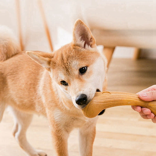 Juguete Masticable Para Perros Palo Madera 17 Cm 5