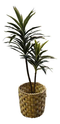 Planta Artificial Dracena Con Maceta 70 Cms 1