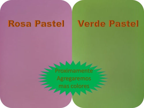 Pastel Varnished Triplex Cardstock 66x50 cm 320gsm X10 Sheets 3