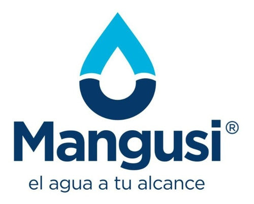 Genebre Manómetro Para Bomba De Agua Riego (Italia) - Mangusi 1