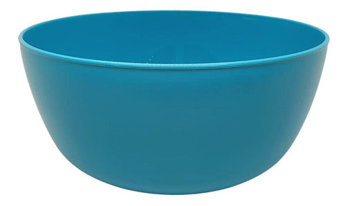 Bowl 2500cc Vonne 22cm Liviano Plastico Camping Playa 0