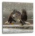 3dRose USA-Alaska-Chilkat Preserve. Eagle Fight Wall Clock 0