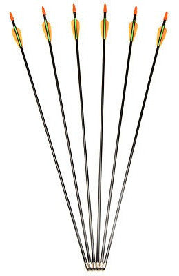 USA 6pcs 73cm Fiberglass Archery Arrows for Kids 2