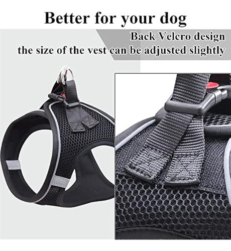 Balabuki Harness Vest for Small and Medium Dogs 2