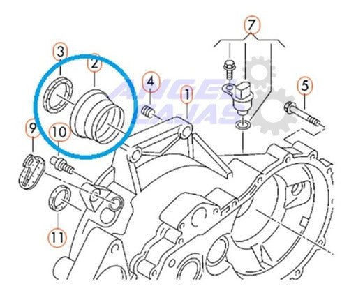 Volkswagen Original Retén / Caja Fox Suran / Derecho Con Brida 2