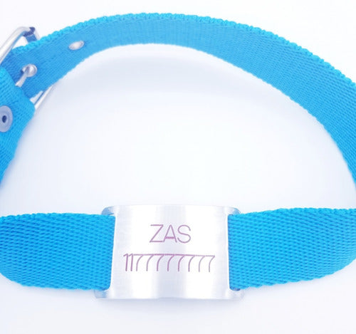 Medallas para Perros Chapita Pasador With Turquoise Collar 3cm Wide 0