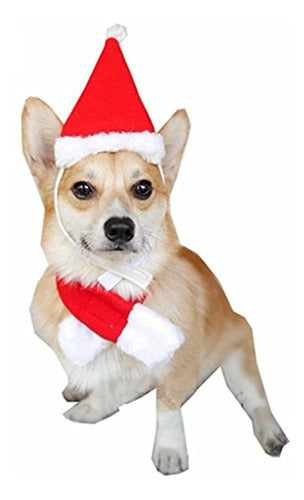 Visky Pet Dog Christmas Costume Perro Santa Hat Con Bufanda 0