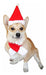 Visky Pet Dog Christmas Costume Perro Santa Hat Con Bufanda 0