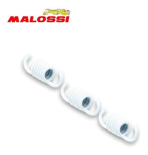 Kit Resortes Embrague Malossi Piaggio Mp3 300. Blanco. Mca 1