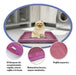 Bandeja Sanitaria Pop Para Perro 63x49x5,5cm Violeta 1