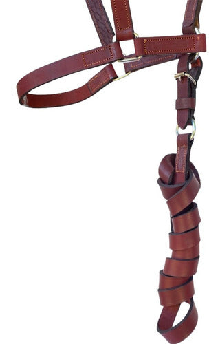 El Tobiano Premium Leather Muzzle with Special Halter 2