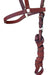 El Tobiano Premium Leather Muzzle with Special Halter 2