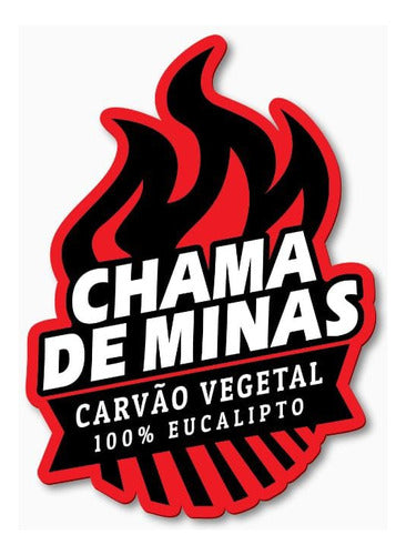 Carvão Para Churrasco Chama De Minas 4kgs 3