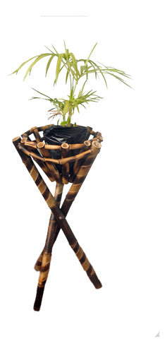 Handcrafted Bamboo Plant Stand for 32cm Diameter Pot 0