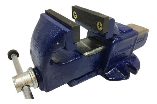 Menegotti Fixed Bench Vise with Anvil No. 6 0